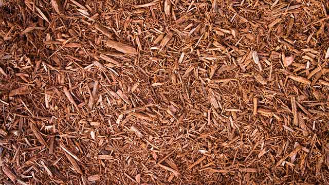 Delcor Cedar Mulch